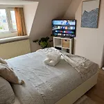 Cosy By The * 海牙