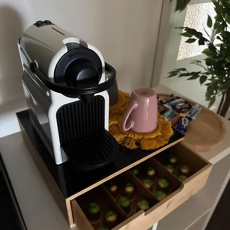 Cosy By The * デン・ハーグ